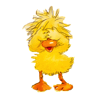 Ente Ente