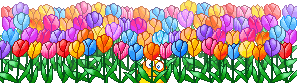 blumen blumen