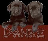 danke22 danke22