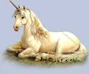 einhorn1 einhorn1