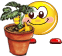 freu9 freu9