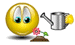 hau41 hau41