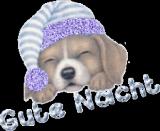 n4 n4
