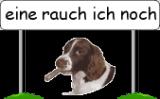 rauchen rauchen