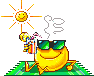 som4 som4