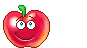 t11 t11