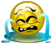 tr24 tr24